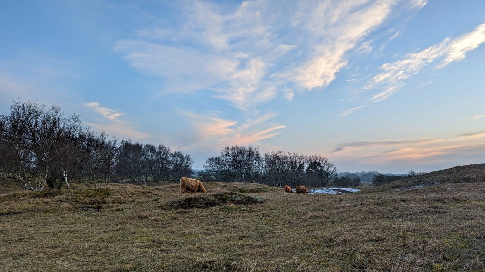 WVL-Tagung: Impression