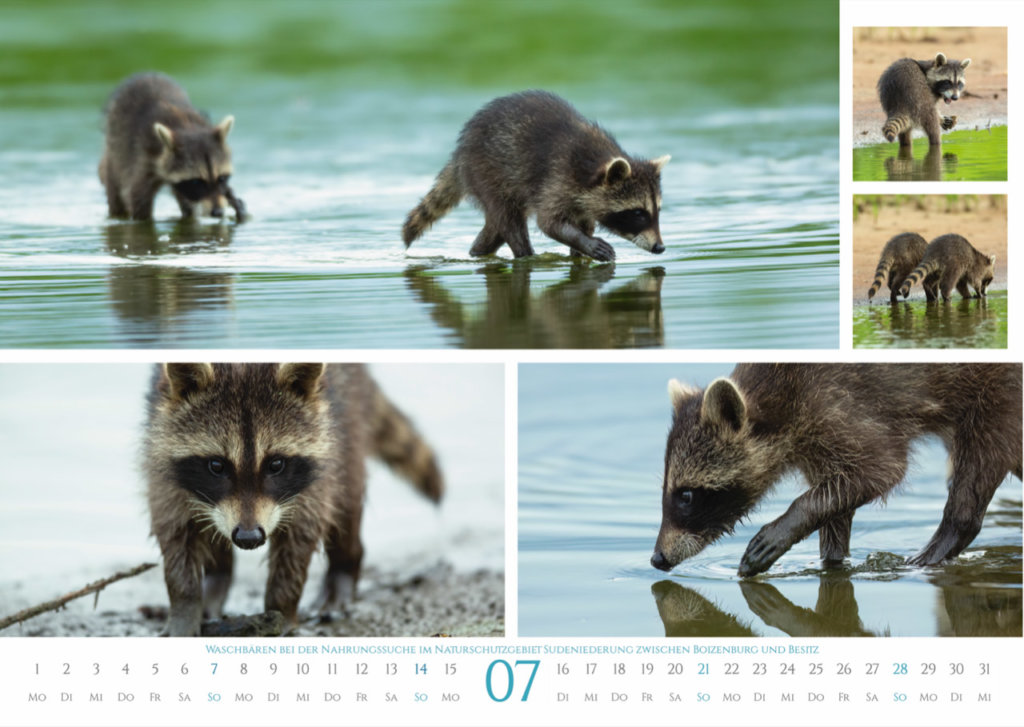 Kalender-2024 EDITION RUFER