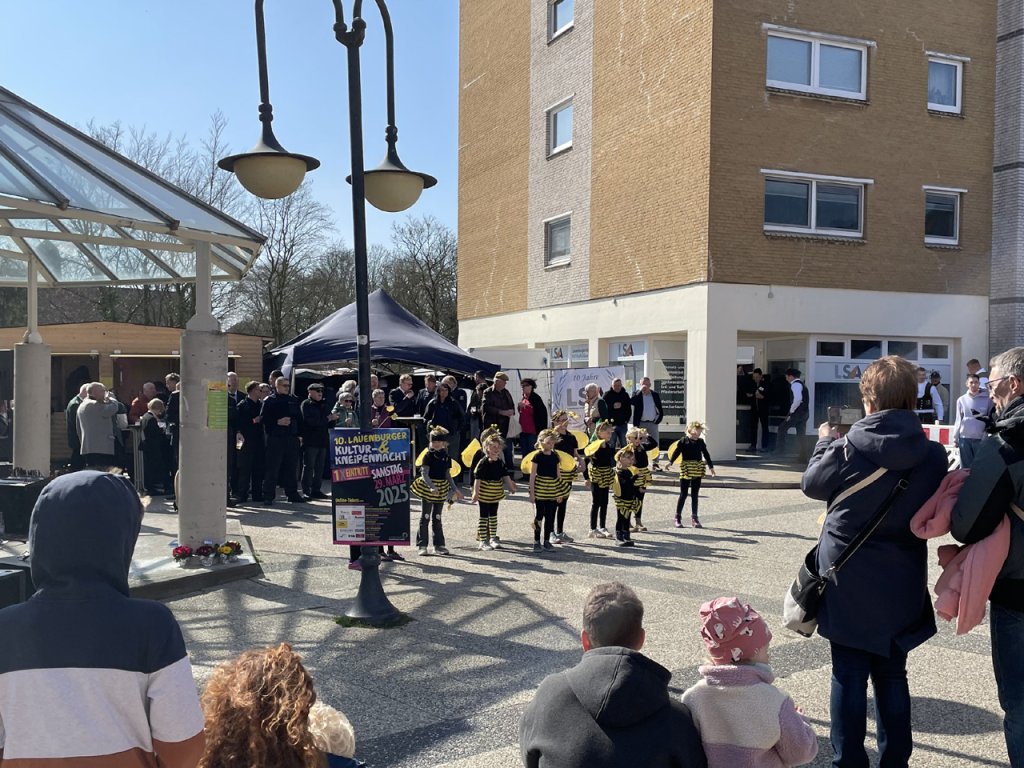 Die Bienen vom Schnakenbeker Carnevalsverein bei ihrem Tanz (Foto: Heike Maurer)