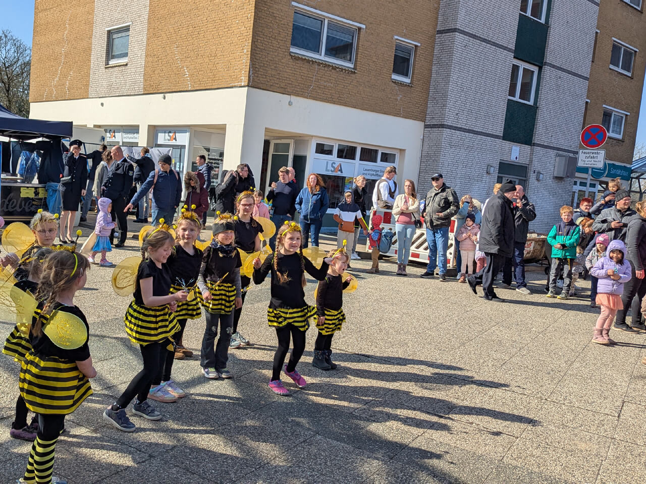 Die Bienen vom Schnakenbeker Carnevalsverein bei ihrem Tanz (Foto: Holger Meyer) Die Bienen vom Schnakenbeker Carnevalsverein bei ihrem Tanz (Foto: Holger Meyer)