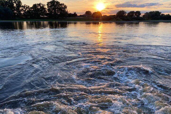Sommerfest 2025 auf der Elbe – Sonne, Sand und starke Stimmung